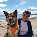 Pam Armstrong - @pam.armstrong.568 - Instagram
