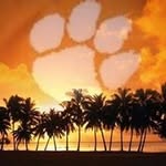 Pam Atchley - @patchley13 - Instagram