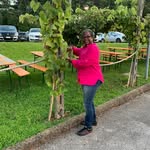 Pam Augustine - @pma22 - Instagram
