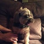 Pam Autry Selman - @autryselman - Instagram