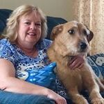 Pam Ayers - @hokies75 - Instagram