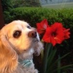 Pam Ayers - @payers53 - Instagram