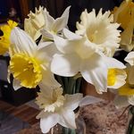 Pam Ayers - @psayers02 - Instagram