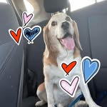 Pam Ayers Rooker - @pamrooker - Instagram