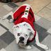Pamela Ryan Ayers - Facebook