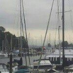 Pam Babb Stevens - @agobabb - Instagram