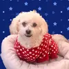 Pamela Babb479 - @pamelababb479 - TikTok
