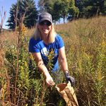 Dr. Pamela Bachman - @dr.pamelabachman - Instagram
