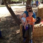 Pam Bachman - @bowtiebunch - Instagram