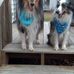 Pam Bain - Facebook