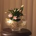 Pam Bain - Facebook