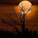 Pam Bain - @pam_bain - Instagram