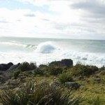 Pam Baird - @baird.pam - Instagram