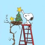 Pam Baird - @pamjayhawk - Instagram