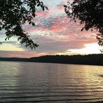 Pam Baird - @pambaird1 - Instagram