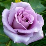 Pam Baird - @pam.baird.549 - Instagram