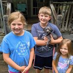Pam Baird - @pamjbaird - Instagram