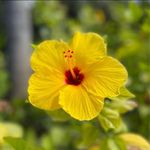 Pam Baran - @pbaran0328 - Instagram