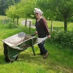 Pam Barber - @pamdbarber - Instagram
