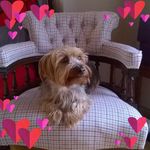 Pam Barrow - @pam.barrow.54 - Instagram