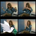 Pam Barrow - @pambarrow63 - Instagram