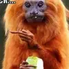 pam barrow - @pam.barrow4 - TikTok