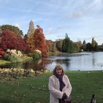 Pam Barrow - @barrow8909 - Instagram