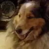Pam Bartholomew - @pam.bartholomew - TikTok