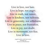 Pam Bartholomew - @pam.bartholomew.568 - Instagram