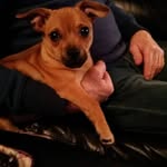 Pam Barton - @pambarton34 - Instagram