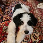 Pam Barton Perlewitz - @pambartonperlewitz - Instagram