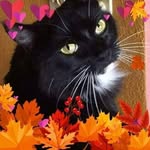 Pam Batchelor - @batchelorpam - Instagram
