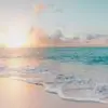 Pamela Batchelor - @pamelabatchelor5 - TikTok