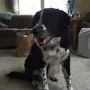 pambath4 - @miss.p739 - TikTok