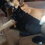 Pam Swafford Baugh - @pambaugh1 - Instagram