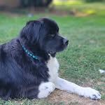Pam Baum - @pambaum411 - Instagram