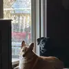 Pam Bale - @pam.bale - TikTok