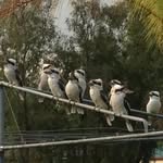 Pam Beall - @beall.pam - Instagram