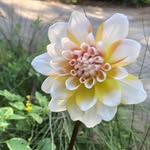 Pam Beams Fuller - @pambeamsfuller - Instagram