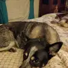 pambean - @pambean - TikTok