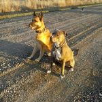 Pam Beardsley - @pambeardsley - Instagram