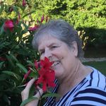 Pamala Lorton Beardsley - @pamala.beardsley7 - Instagram