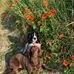 Pam Bell - Facebook