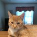 Pam Batdorf - Facebook