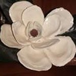 Pam Benton - @pambenton7598 - Instagram