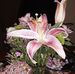 Pam Benton - Facebook