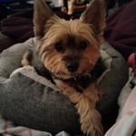 Pam G. Benton - @pam.g.benton - Instagram
