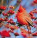 Pam Jaecques Bertsch - Facebook