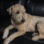 Pam Biggs - @pabiggs - Instagram