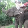 Pam Biggs - @pam.biggs6 - TikTok